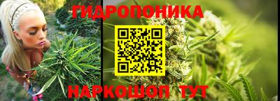 круглые Пушкино