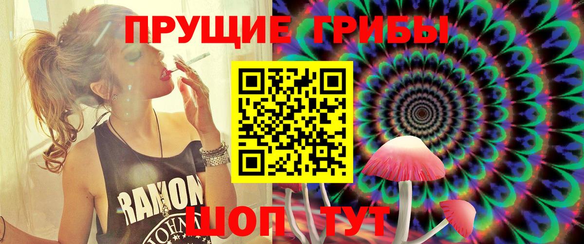 Псилоцибиновые грибы прущие грибы Сафоново