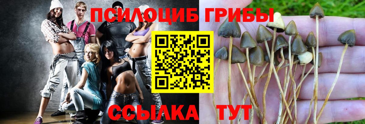 Сафоново  как найти наркотики  Вход с VPN  Галлюциногенные грибы мицелий 
